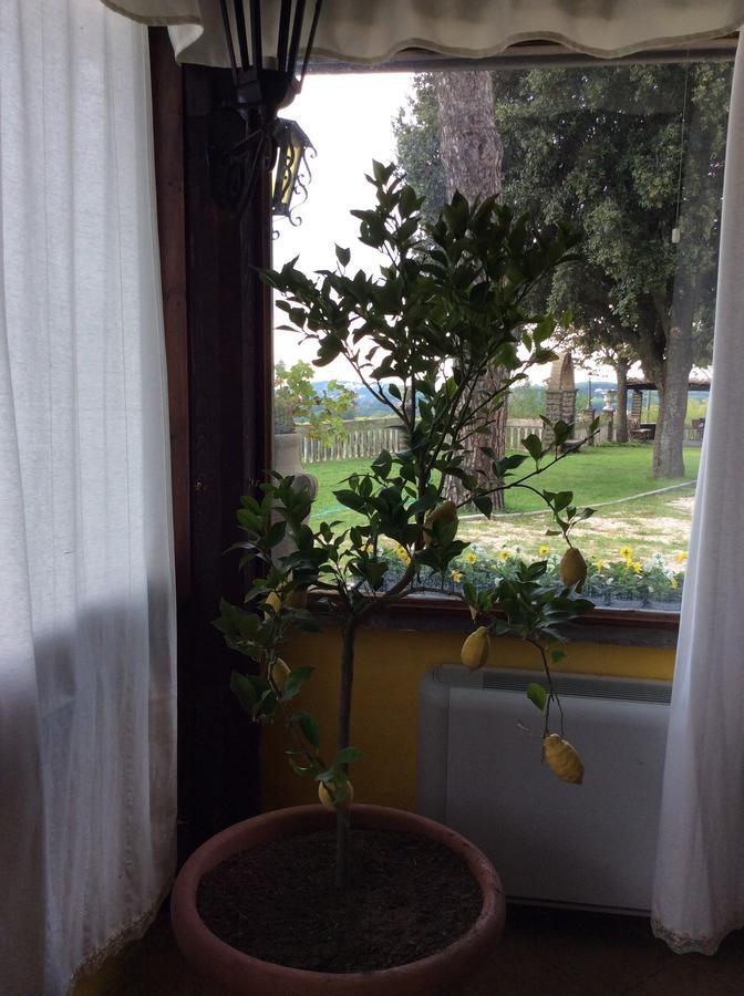 Borgo Della Molara Hotel Grottaferrata Eksteriør billede